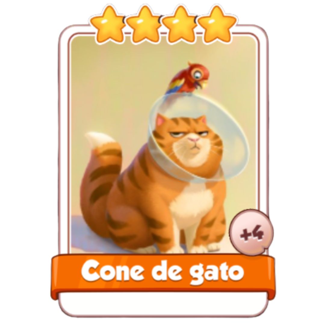 Cone de gato