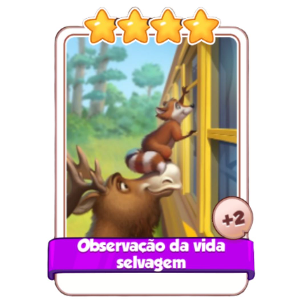 Observação da vida selvagem